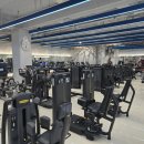 휘슬러휘트니스 | 강남역헬스장 ,뱅뱅사거리 헬스장 '휘슬러휘트니스' 후기 !