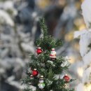 12/11 크리스마스 생화 트리 이미지