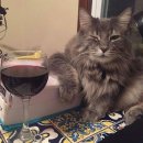 빵빵한 하루 이미지