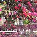 삼락주유소 이미지