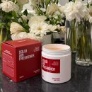 체리 | 고체탈취제 에이센트 제로체리 방향제 후기 반려동물 냄새 제거