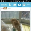 정신