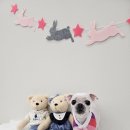 아모르 펫 살롱 이미지