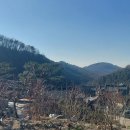 참쉼터 | 동탄이 한눈에, 천년의 쉼터 무봉산 만의사 오늘 직접 다녀온 후기