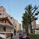 센텀빌 | [서울/도봉] 갓 신내림 받은 도봉구신점, 도봉국모신궁