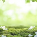 주안시카고치과의원 이미지