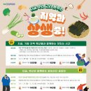 고리나 이미지