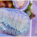 감동대게2호점 이미지