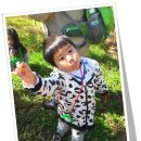 대자연어린이집 이미지