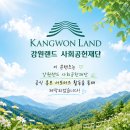 황지로 | 태백 여행 중 꼭 들러야 할 맛집! 갈비탕 13,000원에 감동한 '우리집' 방문기