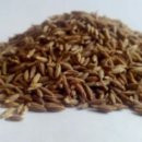 서대문약국 이미지