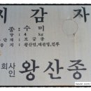 대지종묘사