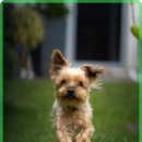 안산동물병원 이미지