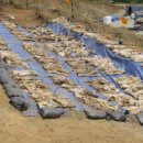 청주흥덕지구축구공원 이미지