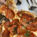 더 코지 이미지