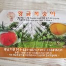 혈도농장 네이버블로그