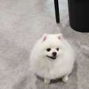 숯불구이봄설 이미지
