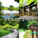 서울 등산 초보 코스 우면산 둘레길 자연생태공원 주차