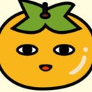 채감 이미지