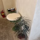 마카로너테이블 이미지