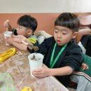 고무신 | 🌿 고무신 다육이 만들기 체험 후기 (6세반)