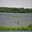 도실목장 이미지