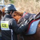 황골목장 이미지