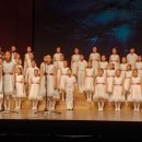 제주늘푸른음악회 이미지