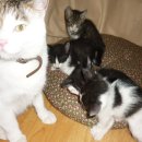 제주우리동물병원 이미지