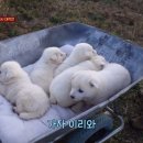 진순농장 이미지