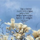 더자주