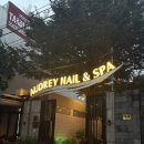 다낭 마사지 오드리네일앤스파 후기 | 오드리스파 60분 마사지, 예약, 픽드랍