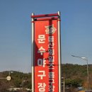 문수야구장 | 20260320 울산웨일즈 창단 첫 홈 개막전 일상 | 문수야구장 1루 커플석 후기