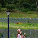 허브농원 이미지