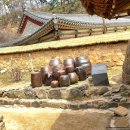 분당중앙공원 꽃무릇 한산이 씨 묘역 근처 주차장