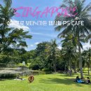 카페힐(CAFE HEAL) | 싱가포르 보타닉가든 뎀시힐 카페 PS Cafe 후기