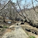 기산1리경로당 이미지