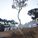 책달샘숲속작은도서관 | 대구 도서관 - 앞산숲속책쉼터 : 햇살채 후기