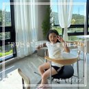 꿈꾸는 숲 이미지