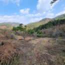 순천의봄공인중개사사무소 이미지