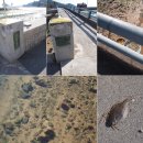 금전2교 이미지