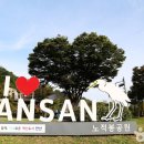 루프앤독 이미지