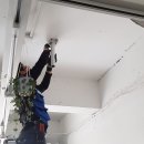 제주 할리데이 이미지