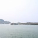 정성메디칼
