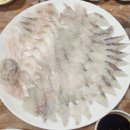 한 사시미 씹은 후기 자갈치 &#34;동해상회&#34;