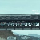 낭만포차 55번 여수갈매기 이미지