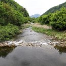 한울오토캠핑장 | 강원도 원주 계곡 캠핑장 타프존이 있는 한울 오토캠핑장 후기