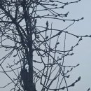 삶 - 그 언저리 이미지