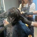 정선헤어살롱 | 겨울에 더 예민해한 컬 관리법 시세이도 프로페셔널 크리스탈라이징 살롱 체험기