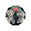 토이켄넬(Toy kennel) 이미지